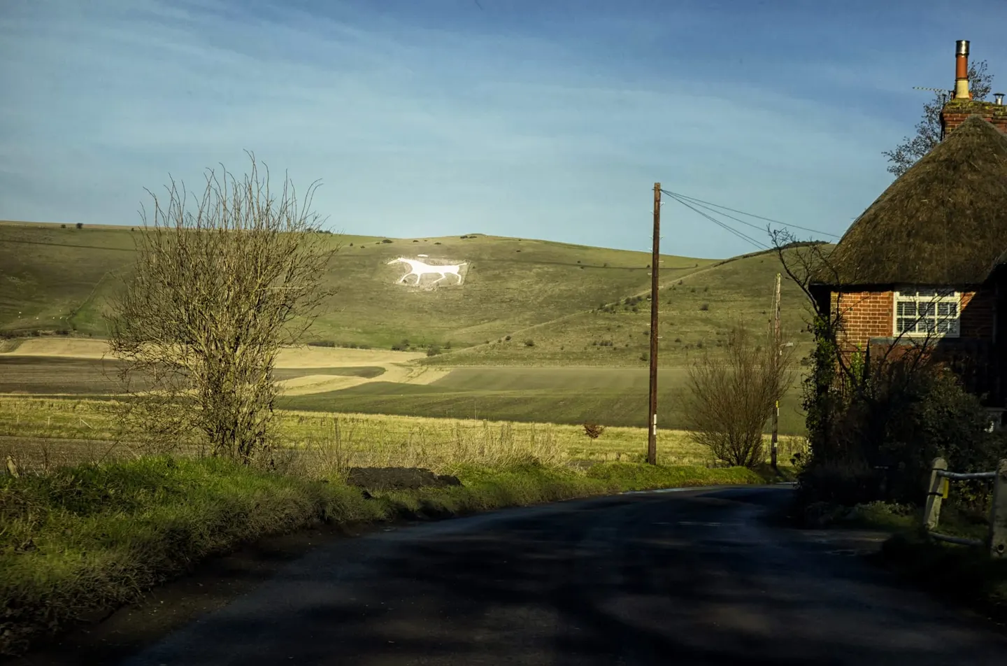 Photo of Alton Barnes White Horse, a hill figure near Avebury in the North Wessex Downs, Wiltshire, south west England.