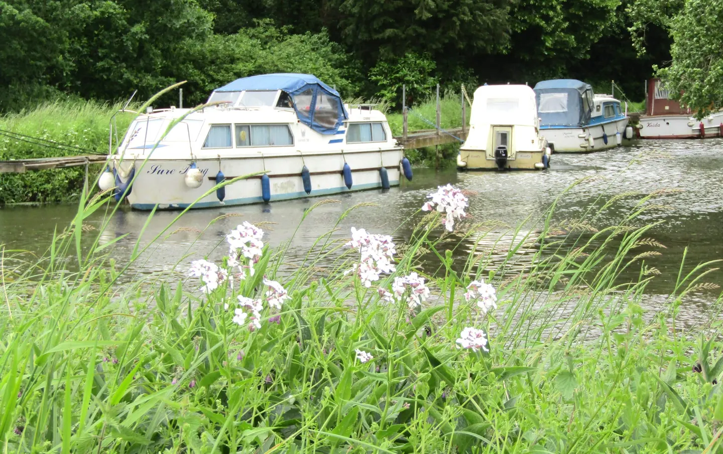 Photo of River Wey Navigations, a country estate near Wonersh, Surrey, south east England.