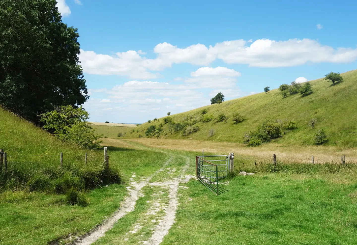 Photo of Bishopston Valley, a gorge in Gower, Swansea, south west Wales.
