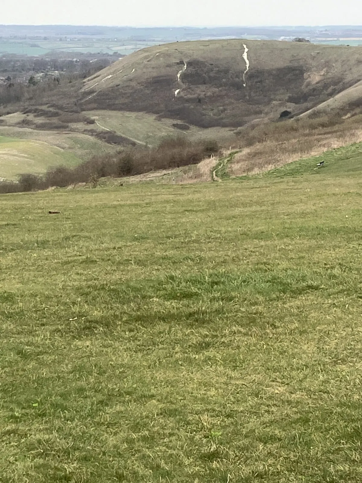 Photo of Dunstable Downs Country Park, a country park near Ivinghoe in the Chilterns, Bedfordshire, eastern England.