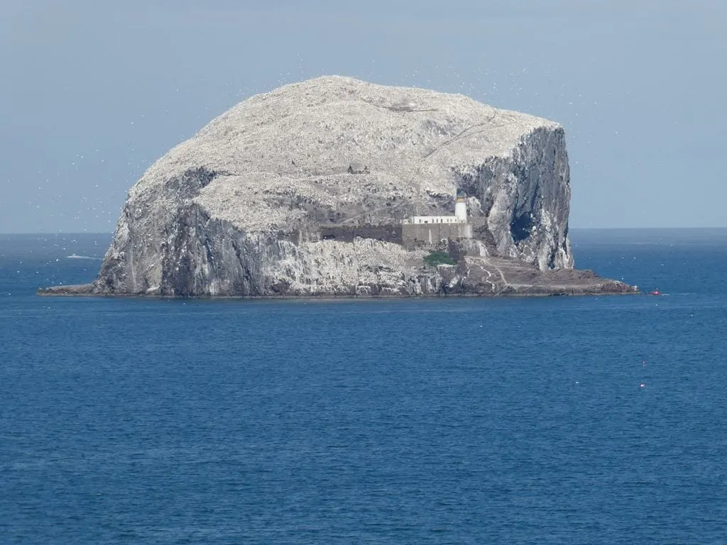 Photo of Bass Rock Lighthouse, a lighthouse near North Berwick, East Lothian, central Scotland.
