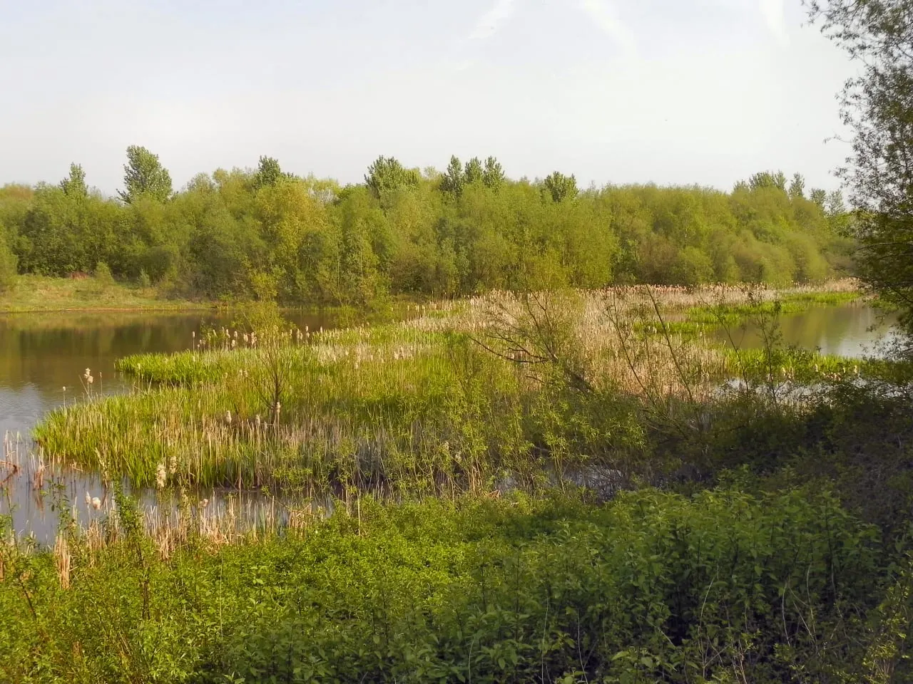 Photo of Pennington Flash Country Park, a country park near Wigan, Greater Manchester, north west England.