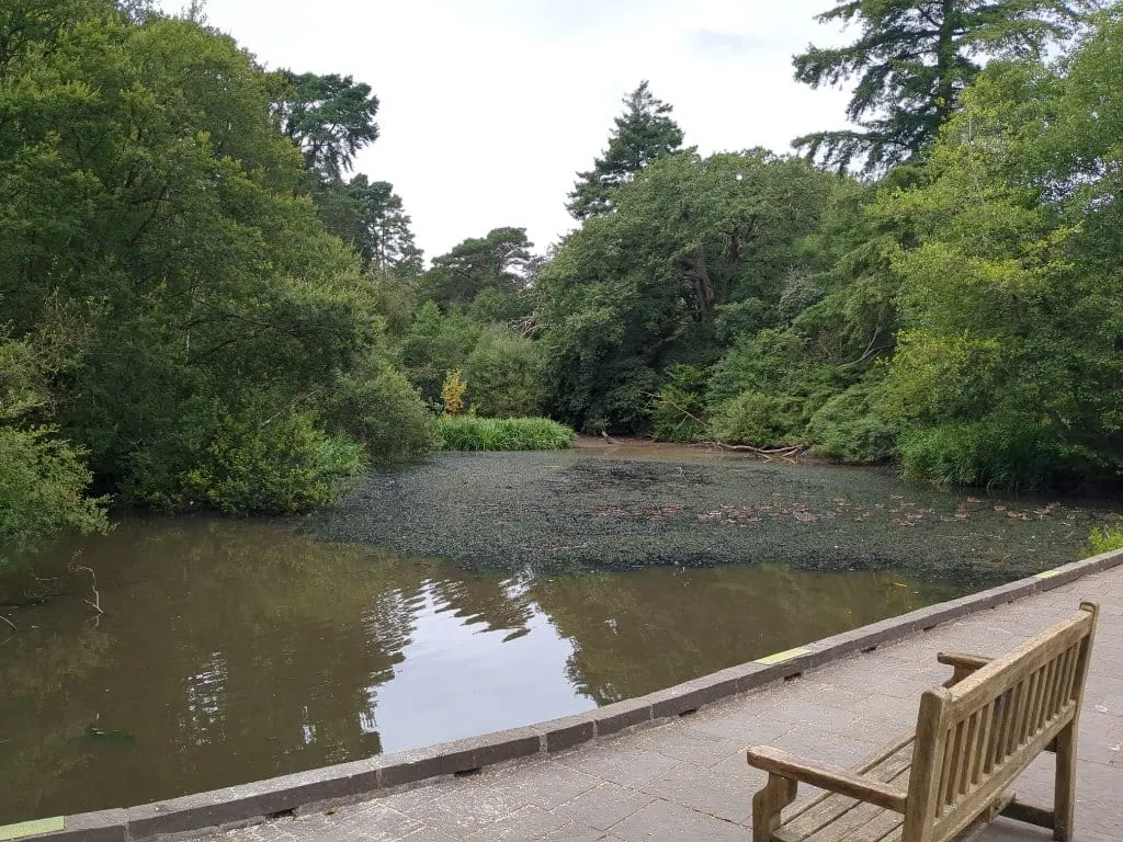 Photo of Bryngarw Country Park, a country park near Merthyr Mawr, Bridgend, south east Wales.