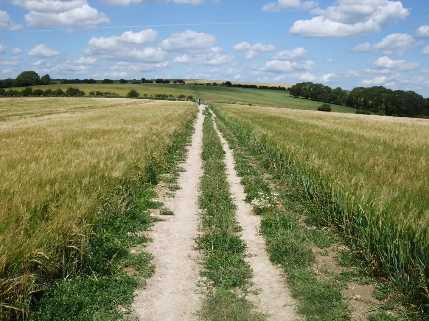 Photo along the Sussex Border Path, a 150-mile long-distance path running from Emsworth to Rye, south east England.