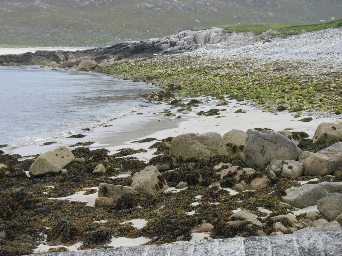Photo of Scarp, an island in Na h-Eileanan Siar, the Scottish Highlands and Islands.