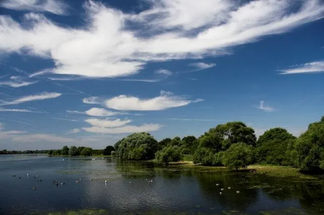 Photo of Abberton Reservoir, a reservoir near West Mersea, Essex, eastern England.