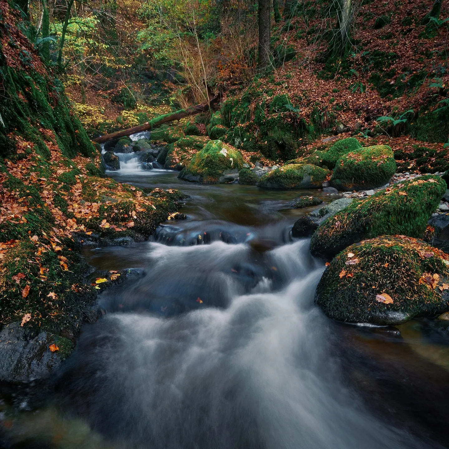 Photo of Stock Ghyll Force, a waterfall near Ambleside in the Lake District, Cumbria, north west England.
