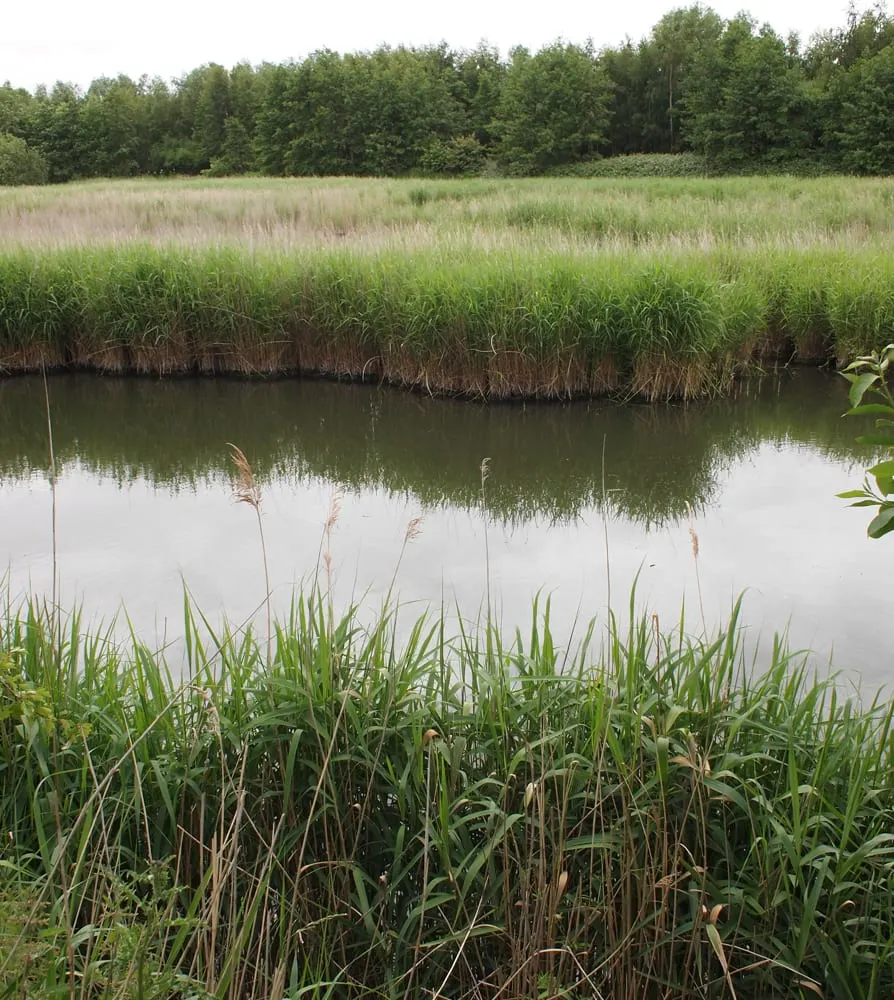 Photo of Waters Edge Country Park, a country park near Barton-upon-Humber, Lincolnshire, central England.