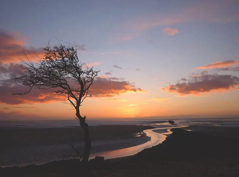 Photo: Jenny Brown's Point, a viewpoint near Silverdale in Arnside & Silverdale, Lancashire, north west England.