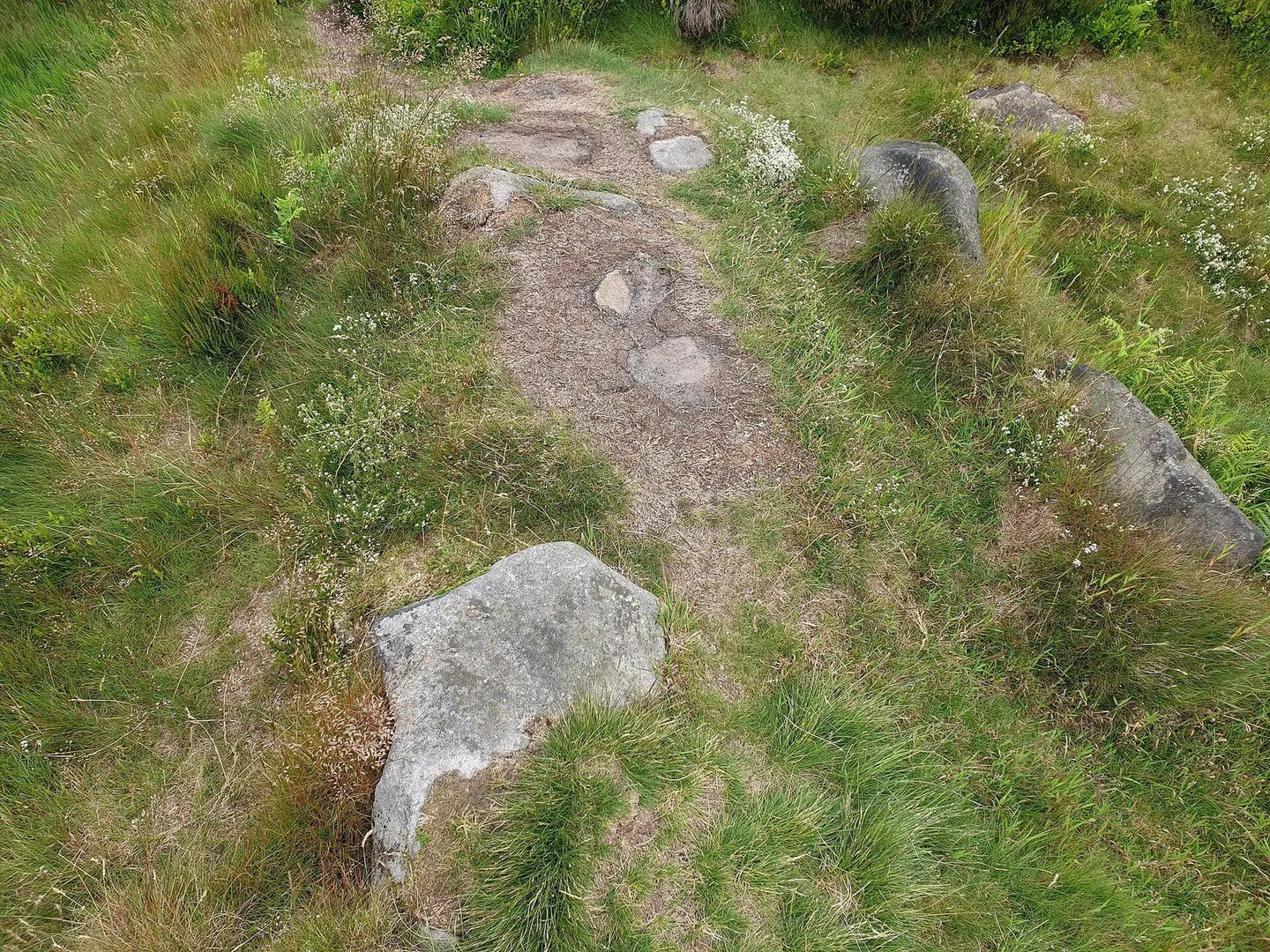 Photo of Hob Hurst's House, a prehistoric mound near Edensor in the Peak District, Derbyshire, central England.