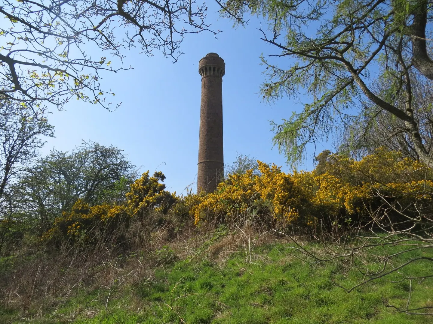Photo: Hopetoun Monument, a viewpoint near Haddington, East Lothian, central Scotland.