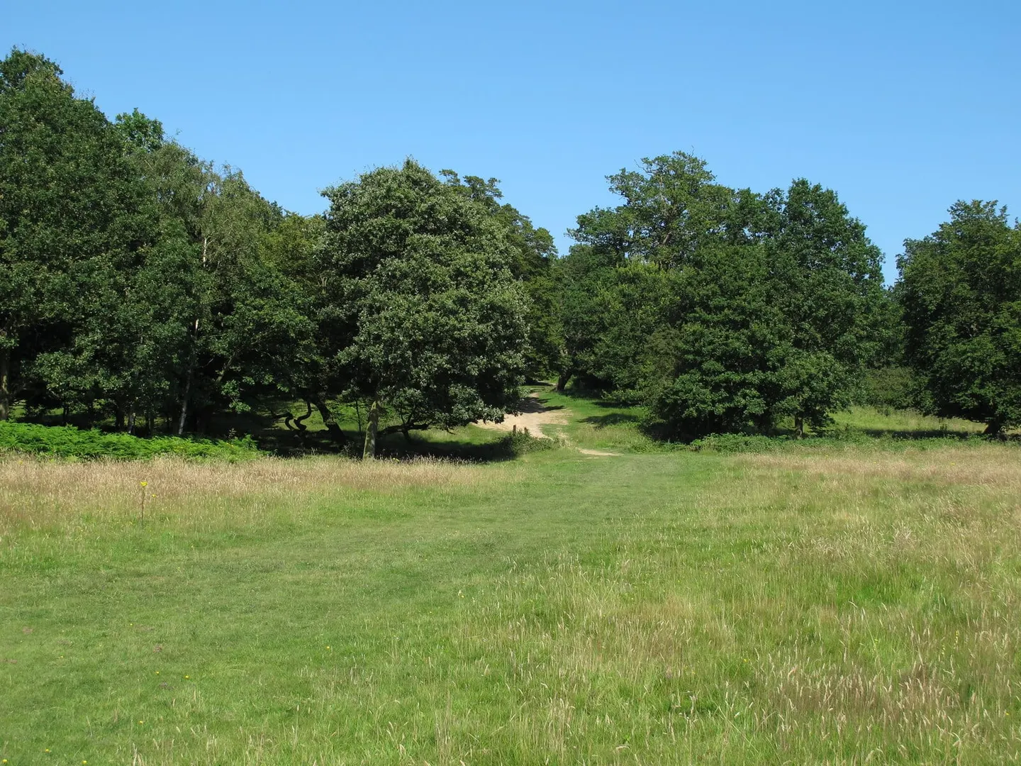 Photo of Weald Country Park, a country park near Brentwood, Essex, eastern England.