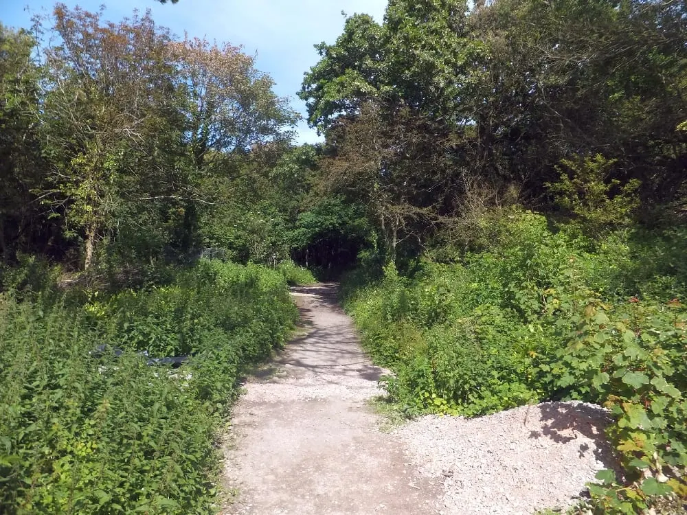 Photo of Fort Victoria Country Park, a country park near Yarmouth, the Isle of Wight, south east England.