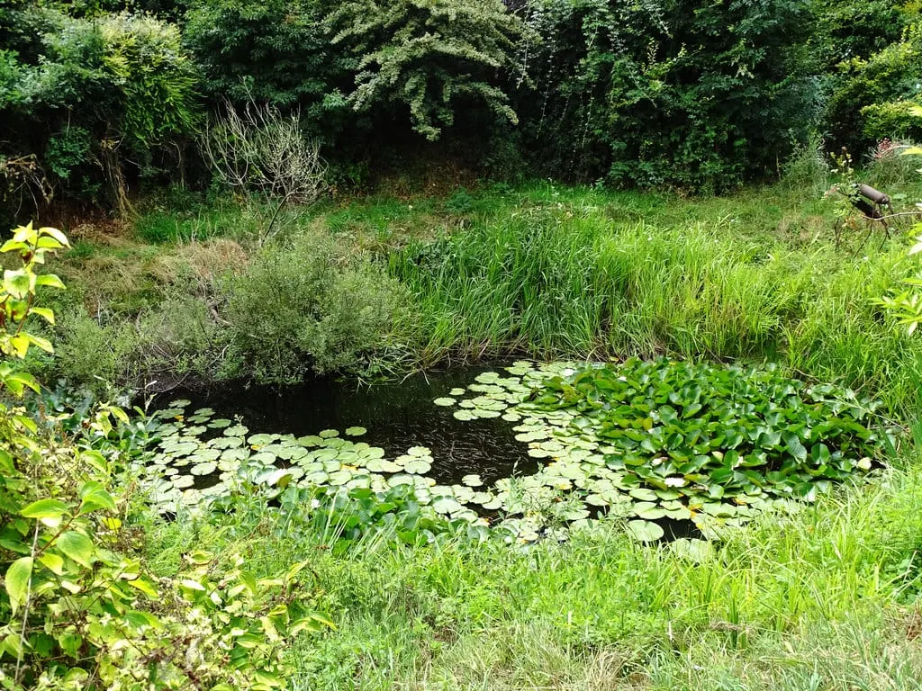 Photo of Keynes Country Park, a country park near Ashton Keynes, Gloucestershire, south west England.