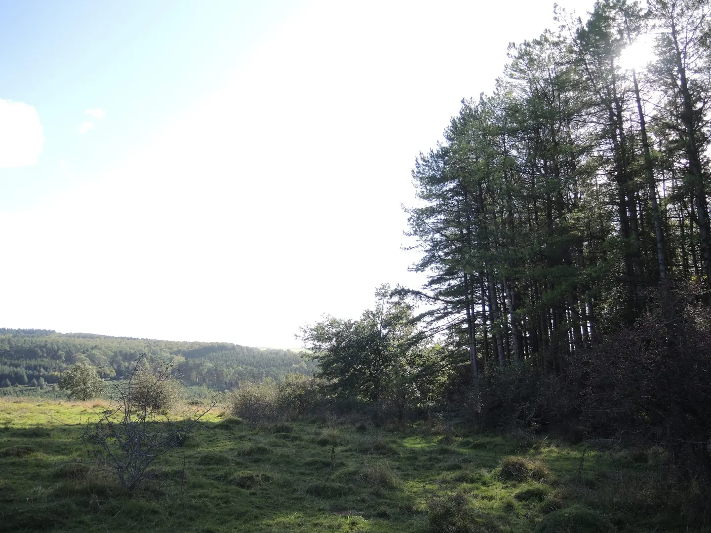 Photo of Dolebury Warren, a Site of Special Scientific Interest near Axbridge in the Mendip Hills, Somerset, south west England.