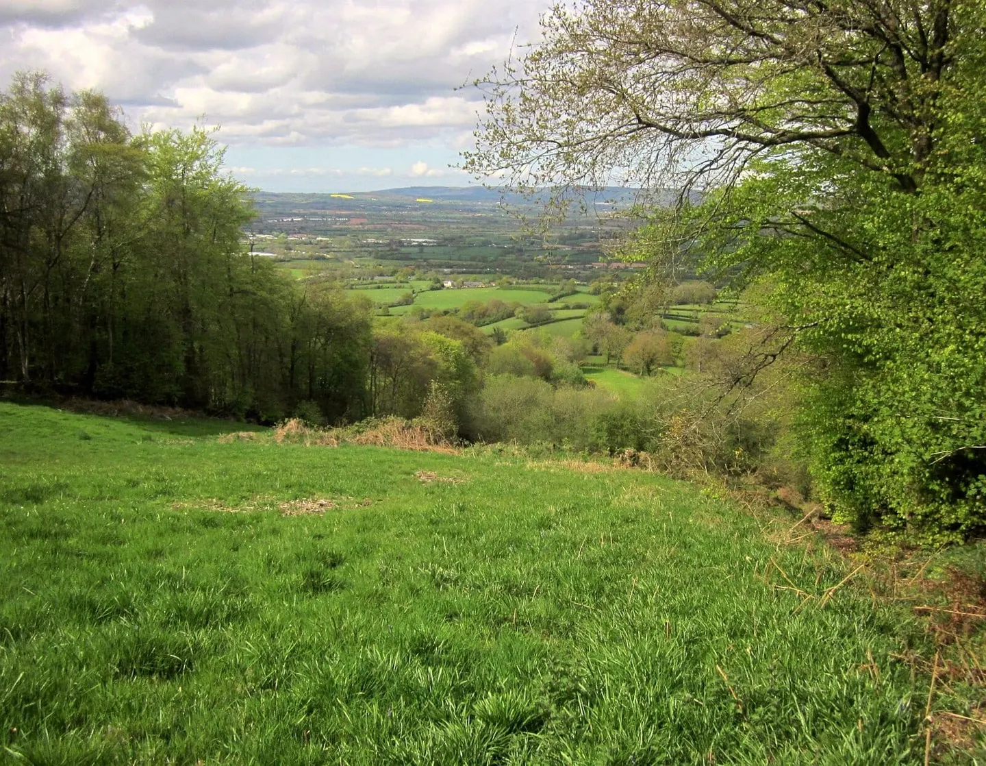 Photo of the Blackdown Hills, a National Landscape in south west England.