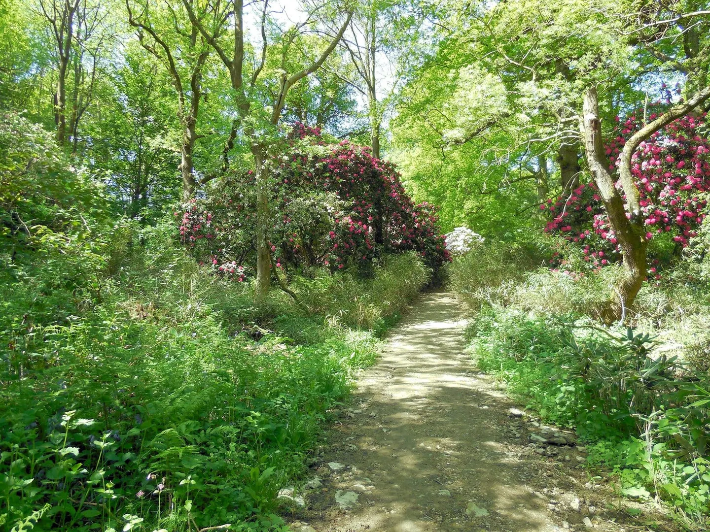 Photo of Borde Hill, a Grade II* registered house & garden near Cuckfield in the High Weald, West Sussex, south east England.