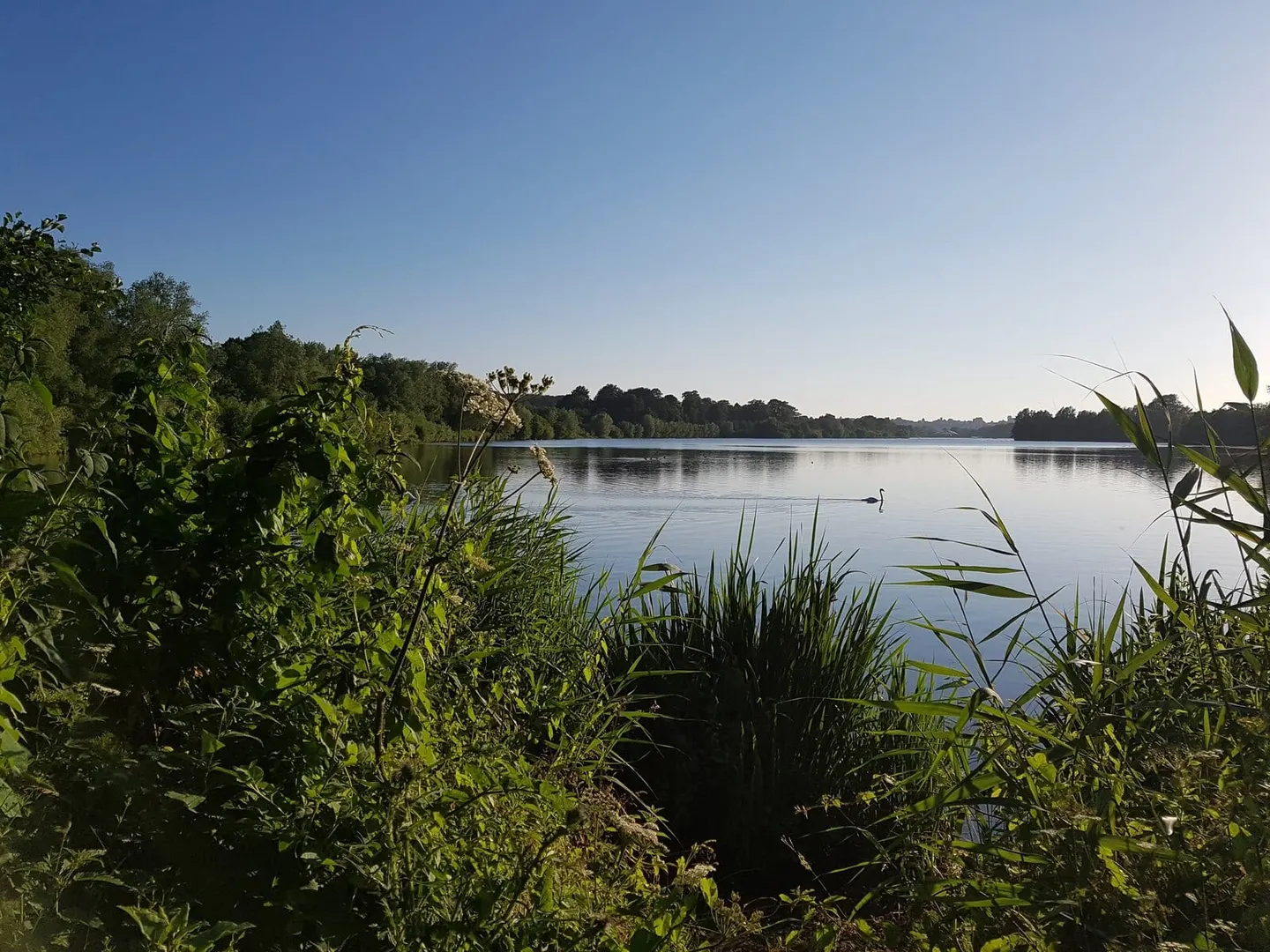 Photo of Whitlingham Country Park, a country park near Norwich in the Broads, Norfolk, eastern England.