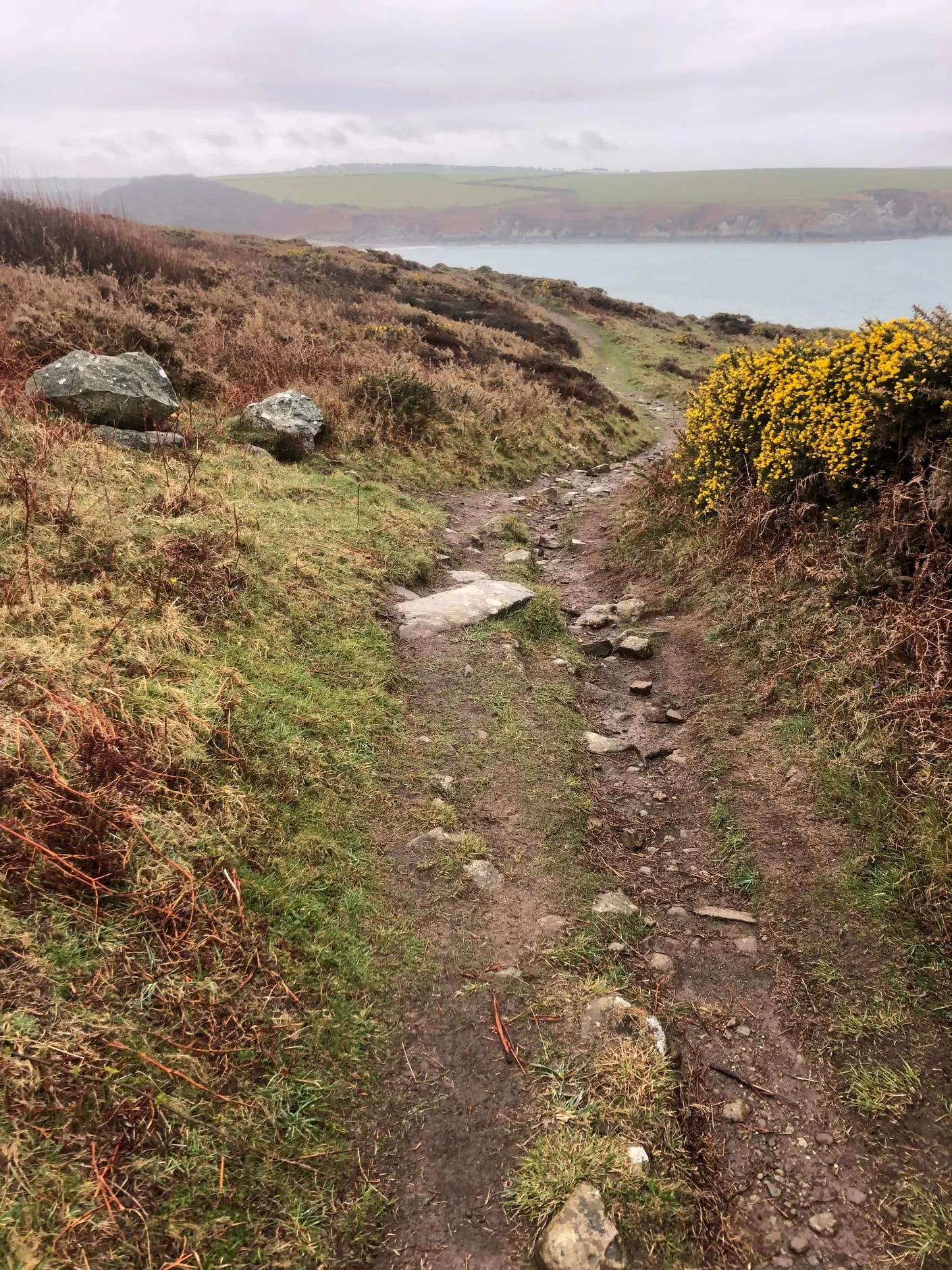 Photo of Tresiesyllt, a country estate near Fishguard, Pembrokeshire, south west Wales.
