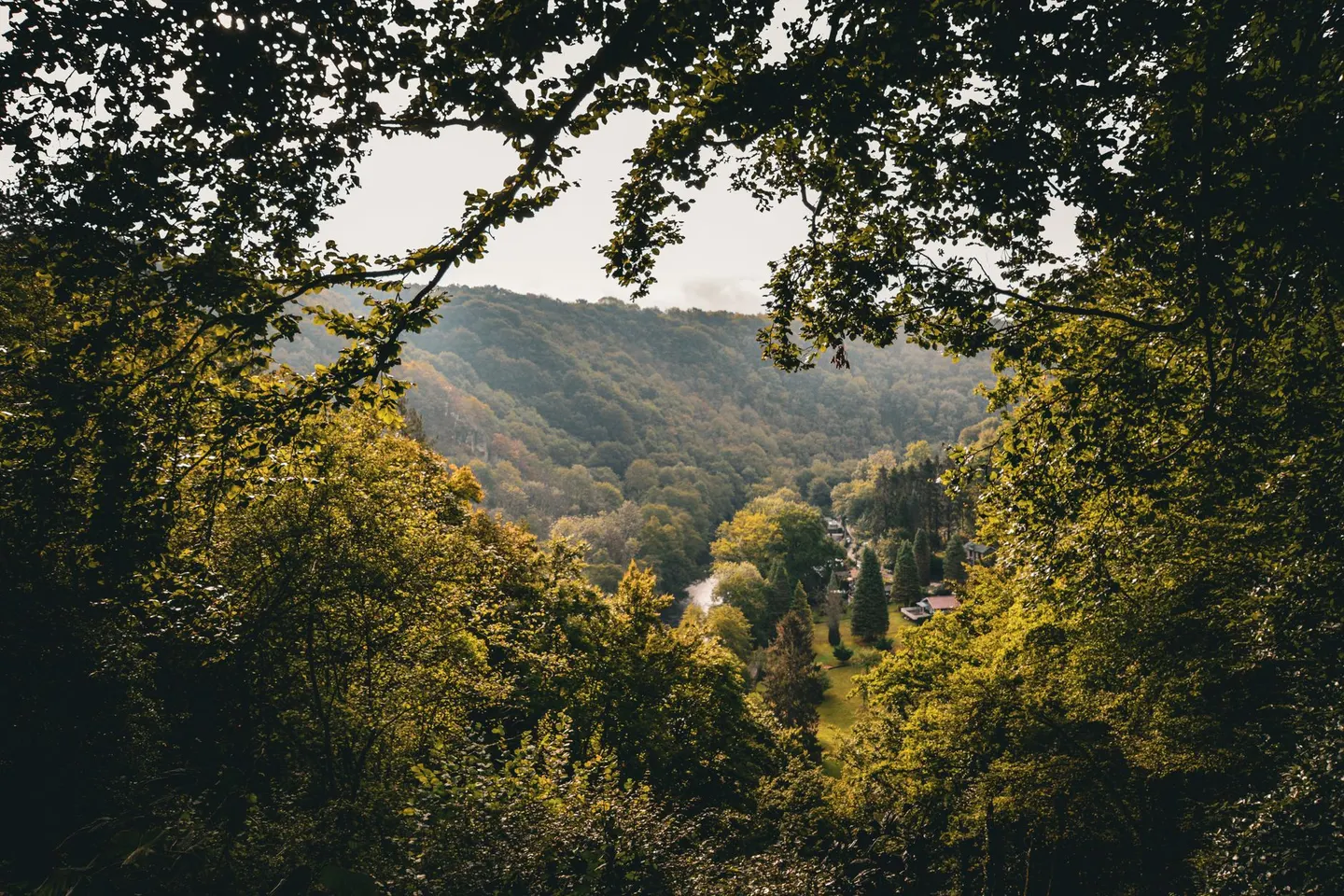 Photo of the Wye Valley, a National Landscape in England and Wales.