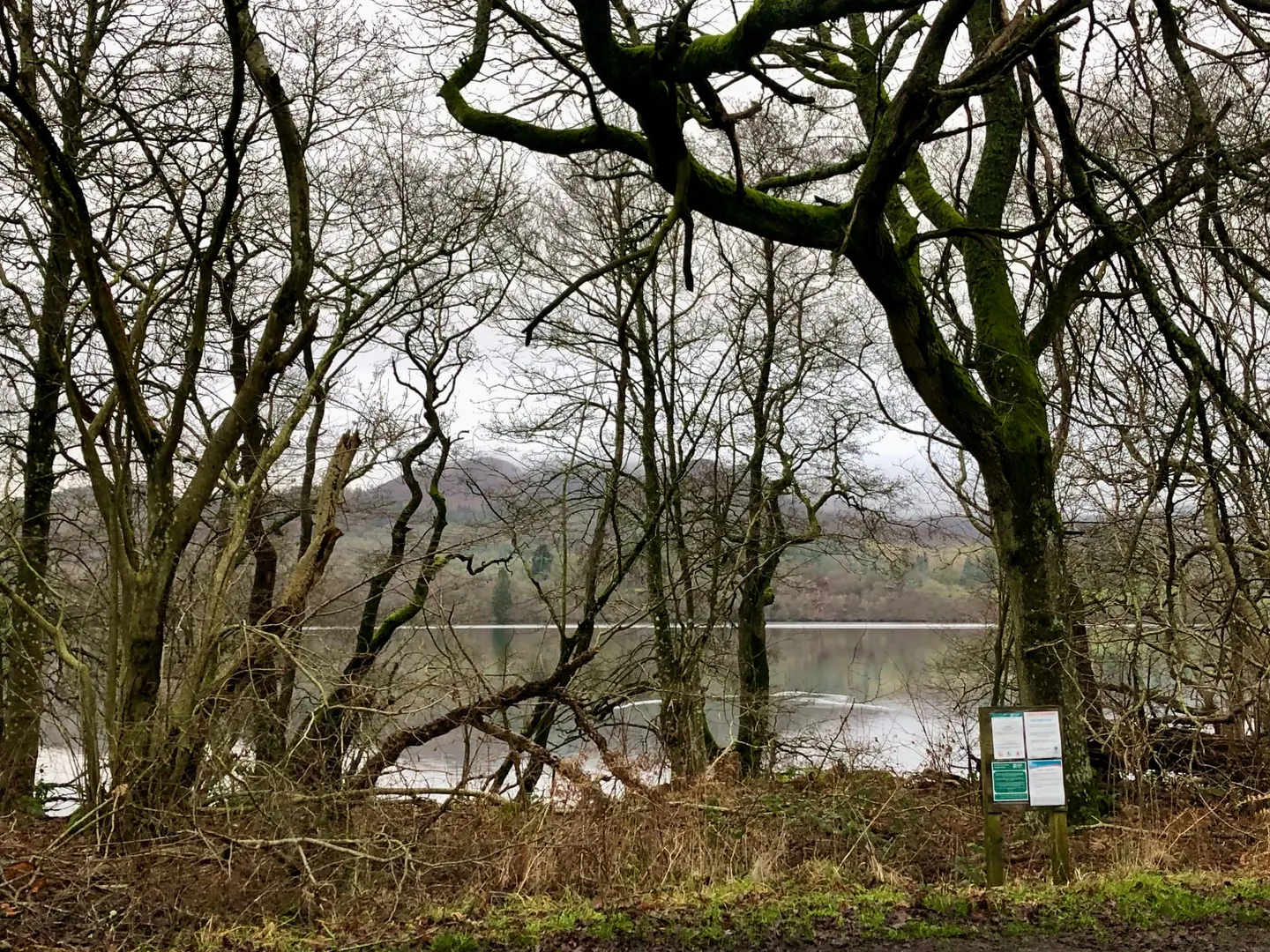 Photo of Loch of the Lowes Wildlife Reserve, a nature reserve near Birnam in the River Tay (Dunkeld), Perth and Kinross, central Scotland.