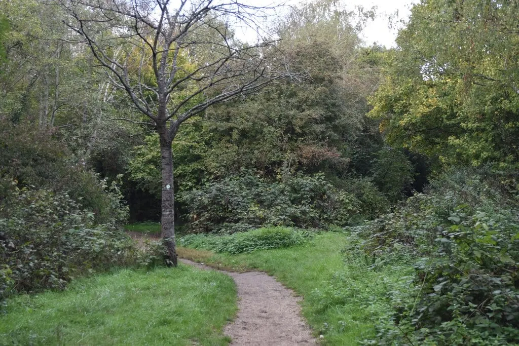 Photo of Stockley Country Park, a country park near Eton, London, England.