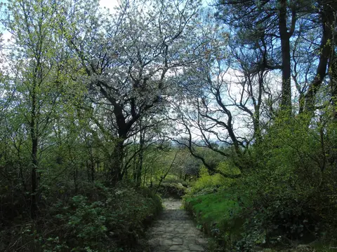 Photo of Terraced Gardens Rivington Country Park, a country park in Lancashire, north west England.