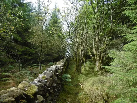 Photo: Killyleoch Hill, a 240m hill near Auchencairn, Dumfries and Galloway, southern Scotland.