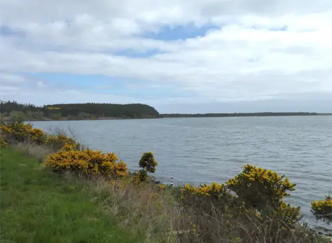 Photo of Loch Fleet, a National Nature Reserve near Embo, Highland, the Scottish Highlands and Islands.