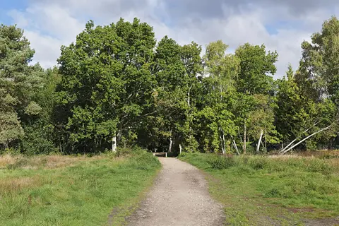 Photo of Yateley Common Country Park, a country park near Hartley Wintney, Hampshire, south east England.
