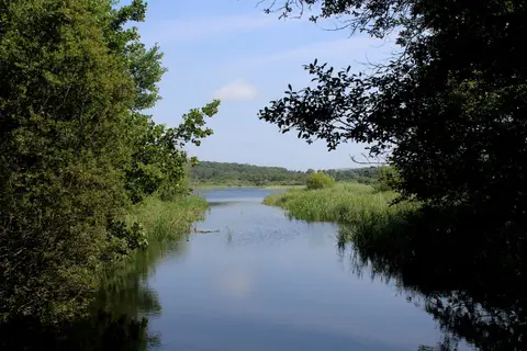 Photo of Leighton Moss, a Site of Special Scientific Interest near Silverdale in Arnside & Silverdale, Lancashire, north west England.