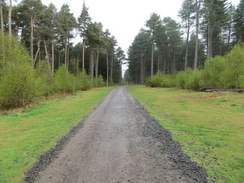 Photo of Tentsmuir, a National Nature Reserve near Monifieth, Fife, central Scotland.