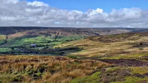 Photo of Farndale Woodlands, a nature reserve in the North York Moors, North Yorkshire, northern England.