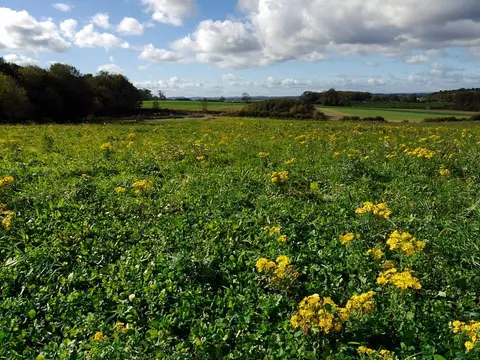 Photo of Hardwick Hall - Durham Country Park, a country park near Newton Aycliffe, County Durham, north east England.