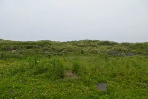 Photo of Amble Links, a swimming spot in Northumberland, north east England.
