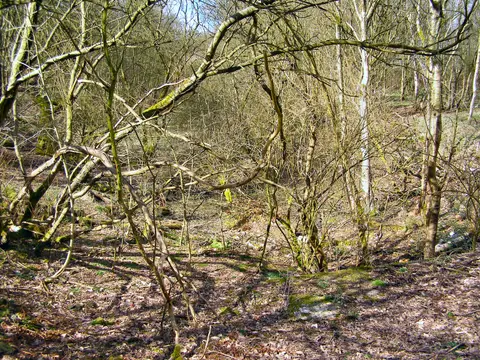 Photo of Clifton Country Park, a country park near Worsley, Greater Manchester, north west England.
