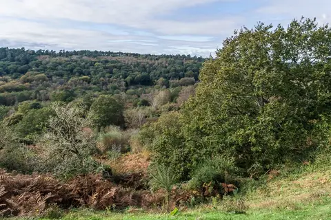 Photo: Devil's Punch Bowl, a viewpoint near Haslemere, Surrey, south east England.