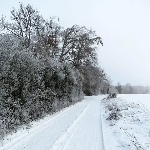 Photo of Wandlebury Country Park, a country park near Grantchester, Cambridgeshire, eastern England.