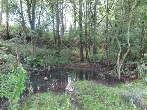 Photo of Weetslade Country Park, a country park near Newcastle upon Tyne, Tyne and Wear, north east England.