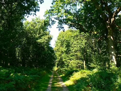 Photo of Tottenham House and Savernake Forest, a Grade II* registered house & garden near Wootton Rivers, Wiltshire, south west England.