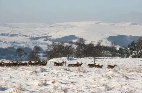 Photo of Curbar Gap, a country estate near Grindleford in the Peak District, Derbyshire, central England.