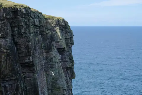 Photo of Handa Island, an island in Highland, the Scottish Highlands and Islands.