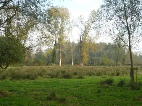 Photo of Friars Meadow, River Stour, a swimming spot near Long Melford, Suffolk, eastern England.