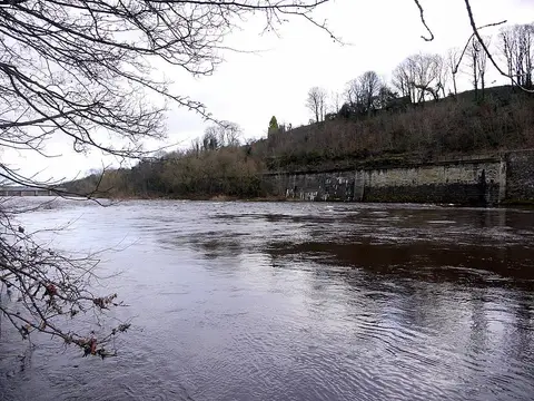 Photo of Tyne Riverside Country Park, a country park near Wylam, Northumberland, north east England.