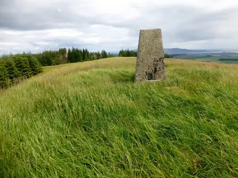 Photo: Innerdouny Hill, a 497m hill near Muckhart, Perth and Kinross, central Scotland.