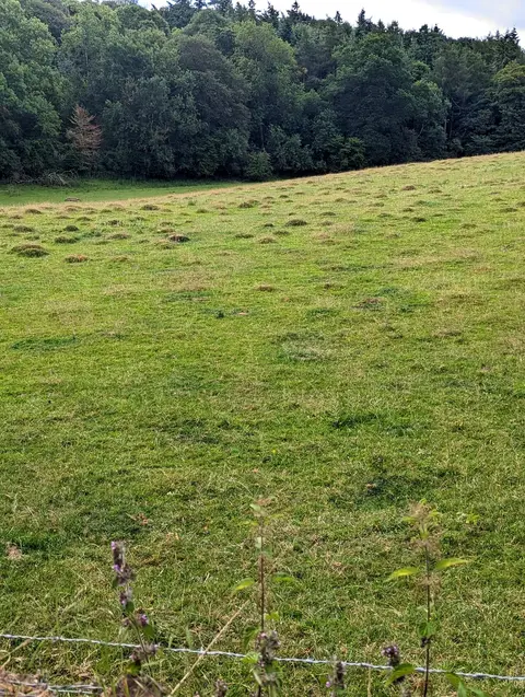 Photo of Pengethly Park, a country estate near Hoarwithy in the Wye Valley, Herefordshire, central England.