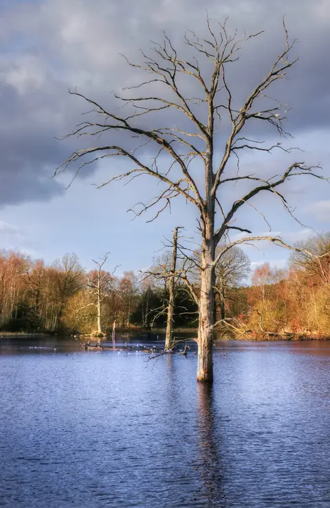 Photo of Clumber Park, a Grade I registered house & garden near Kirton, Nottinghamshire, central England.
