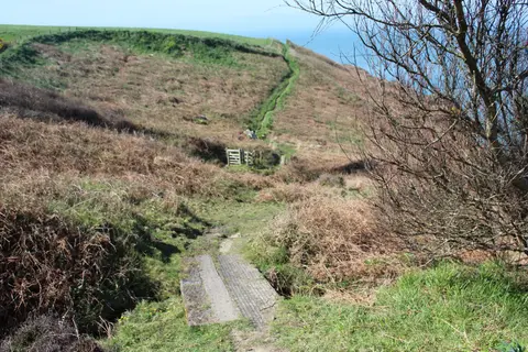 Photo of Goodwick Commons, a country estate near Fishguard, Pembrokeshire, south west Wales.