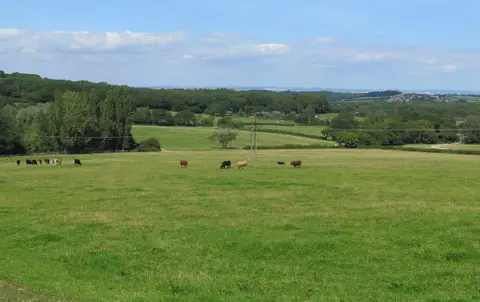 Photo of Robin Hill Country Park, a country park near Godshill, the Isle of Wight, south east England.