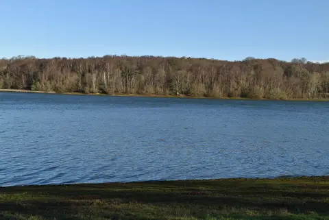 Photo of Bewl Water, a reservoir near Ticehurst in the High Weald, East Sussex, south east England.